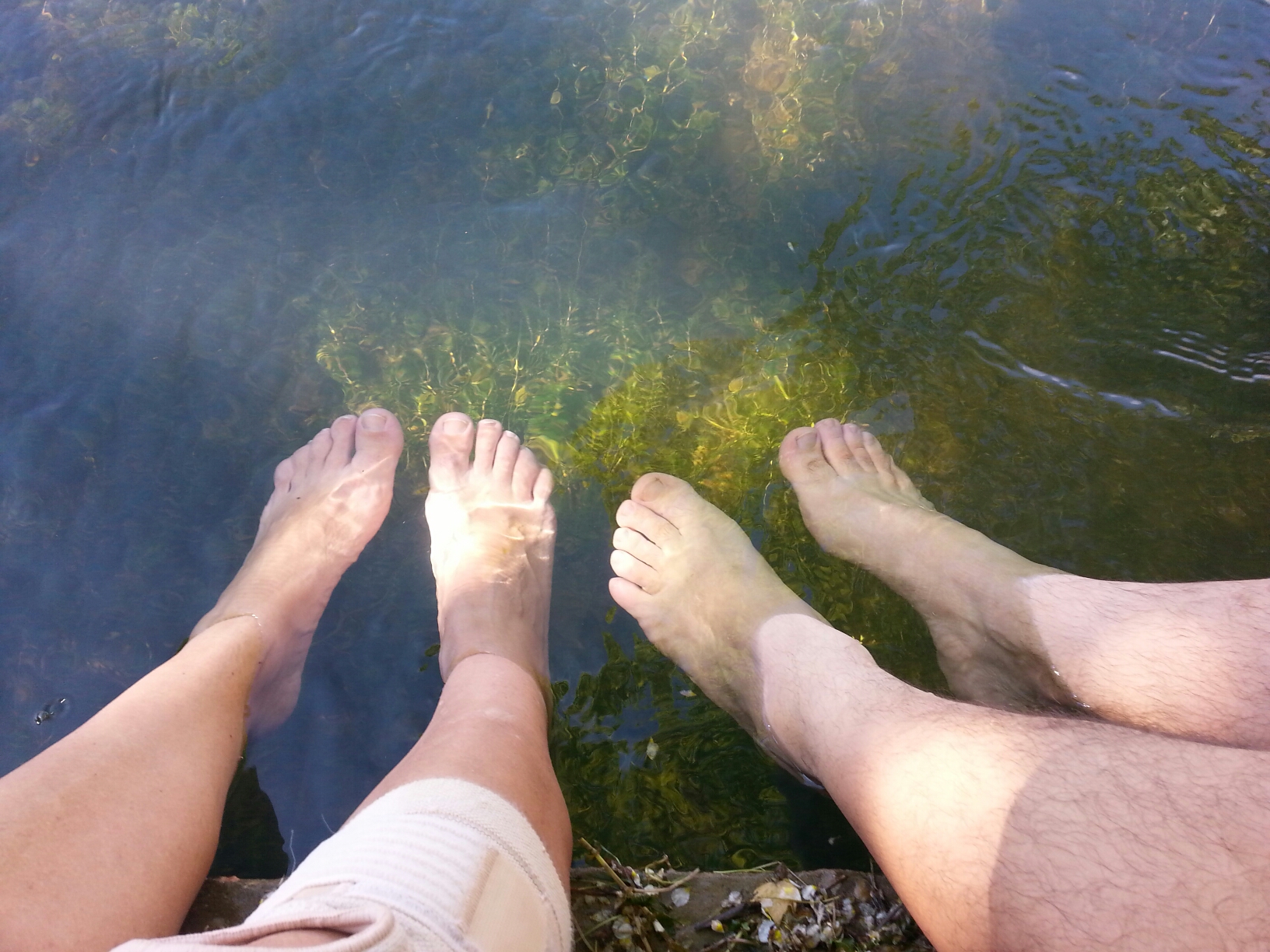 20150729_114217.jpg image