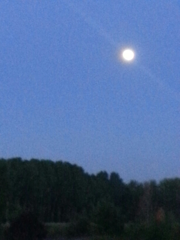 20150801_064957.jpg image