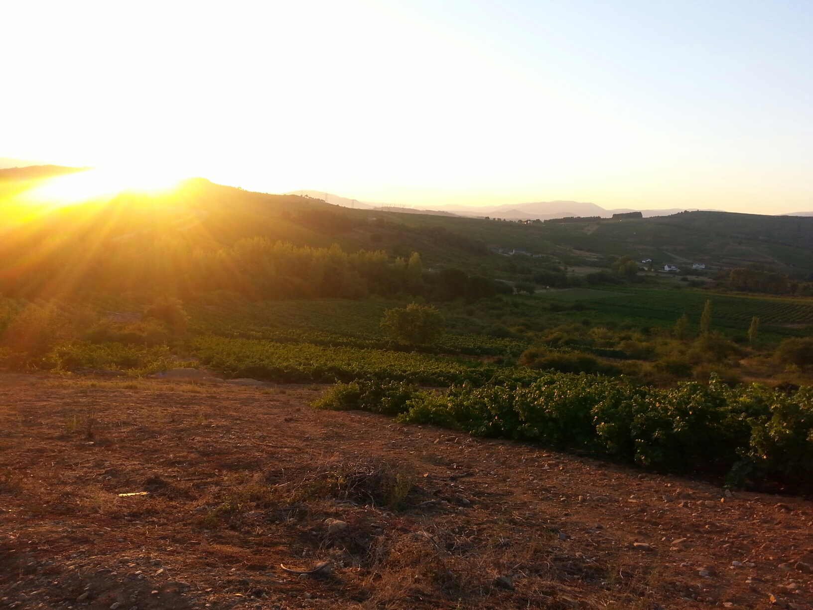 20150805_073929.jpg image