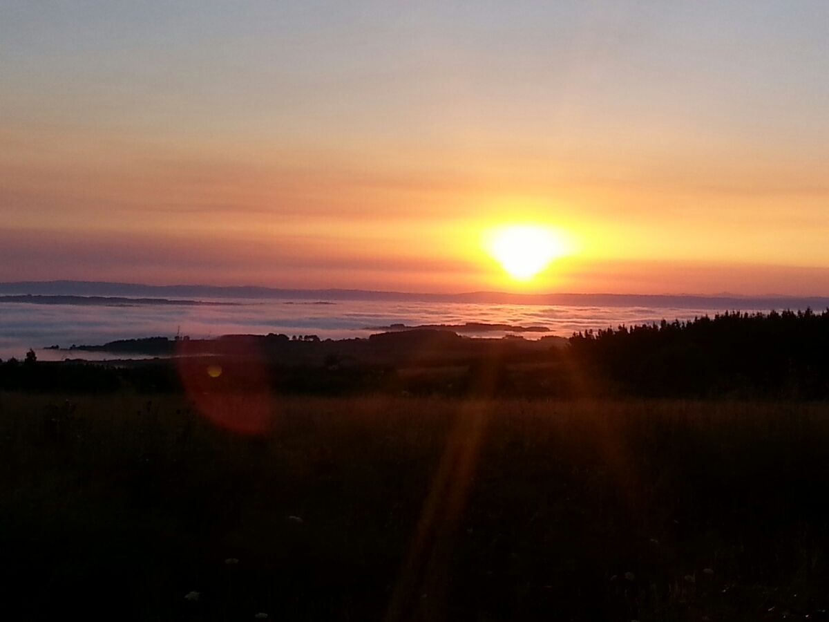 20150810_074156.jpg image