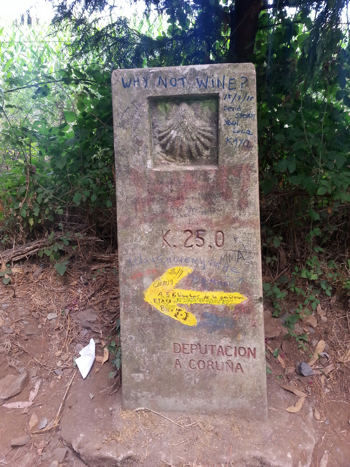 20150812_113752.jpg image