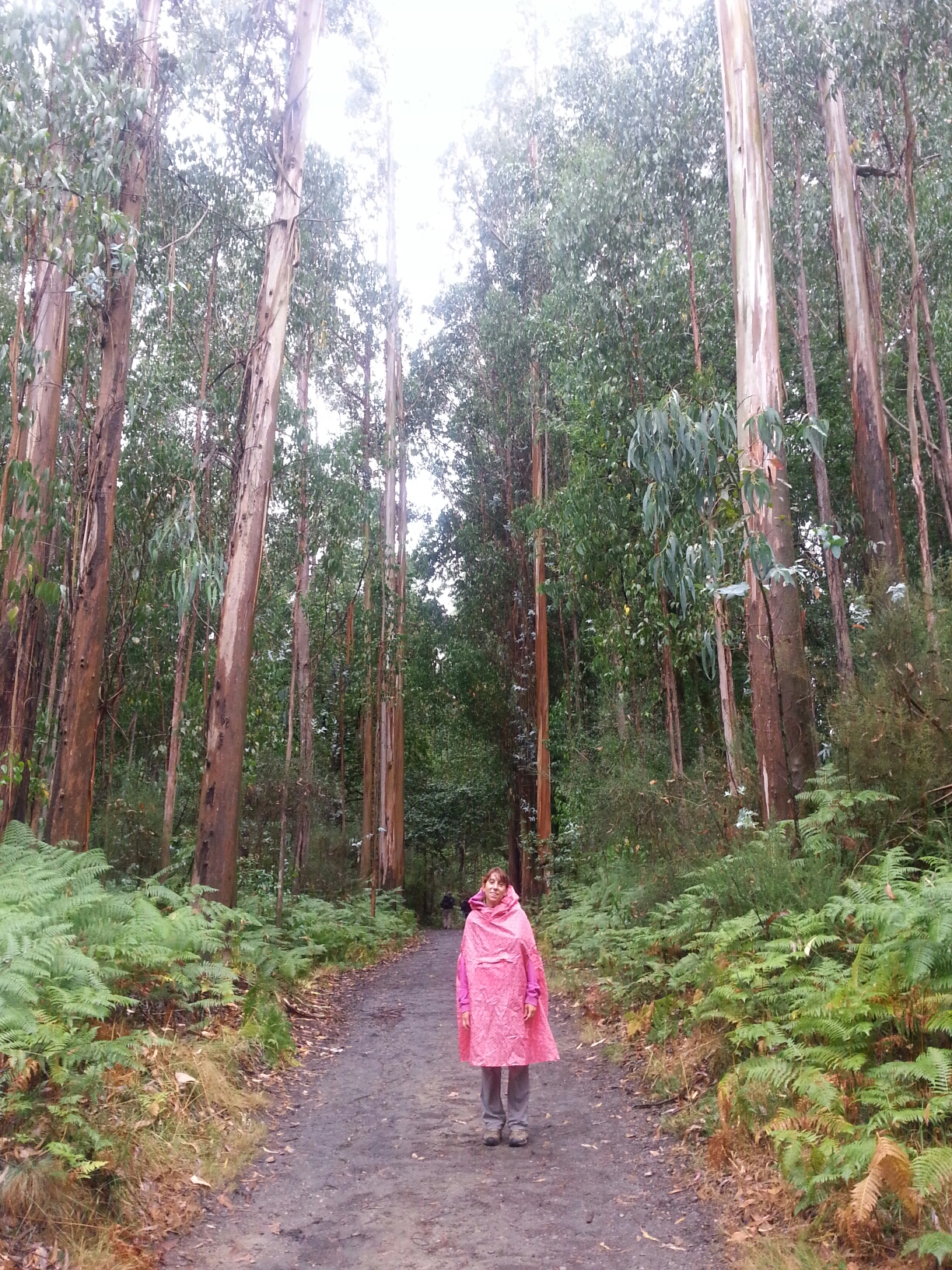 20150813_084640.jpg image